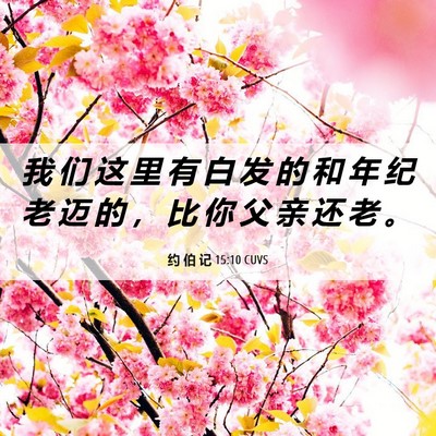 Picture 06 - 约 伯 记 15:10 CUVS - 我 们 这 里 有 白 发 的 和 年 纪 老 - Bible Verse Picture
