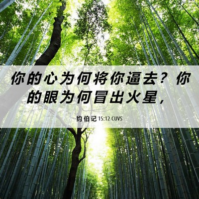Picture 06 - 约 伯 记 15:12 CUVS - 你 的 心 为 何 将 你 逼 去 ？ 你 的 - Bible Verse Picture