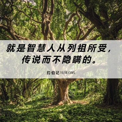 Picture 06 - 约 伯 记 15:18 CUVS - 就 是 智 慧 人 从 列 祖 所 受 ， 传 - Bible Verse Picture