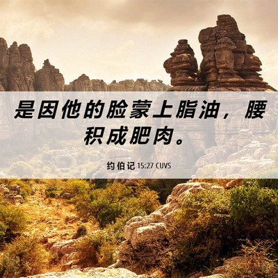 Picture 06 - 约 伯 记 15:27 CUVS - 是 因 他 的 脸 蒙 上 脂 油 ， 腰 积 - Bible Verse Picture
