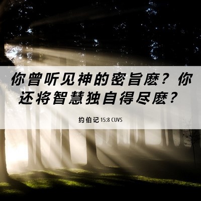 Picture 06 - 约 伯 记 15:8 CUVS - 你 曾 听 见 神 的 密 旨 麽 ？ 你 还 - Bible Verse Picture
