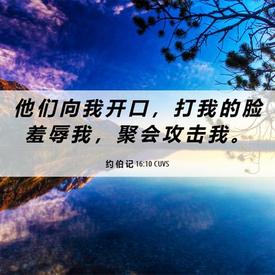 Picture 06 - 约 伯 记 16:10 CUVS - 他 们 向 我 开 口 ， 打 我 的 脸 羞 - Bible Verse Picture