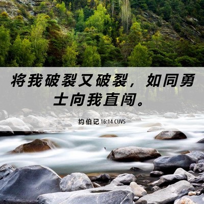Picture 06 - 约 伯 记 16:14 CUVS - 将 我 破 裂 又 破 裂 ， 如 同 勇 士 - Bible Verse Picture