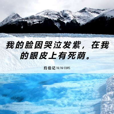 Picture 06 - 约 伯 记 16:16 CUVS - 我 的 脸 因 哭 泣 发 紫 ， 在 我 的 - Bible Verse Picture