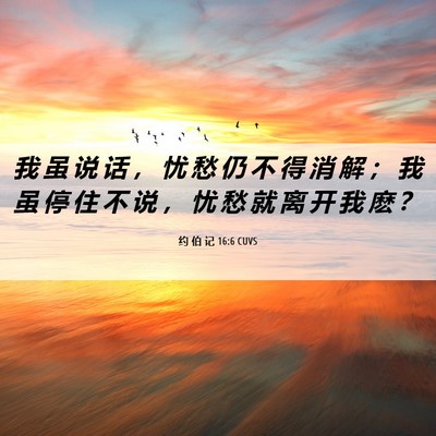 Picture 06 - 约 伯 记 16:6 CUVS - 我 虽 说 话 ， 忧 愁 仍 不 得 消 解 - Bible Verse Picture