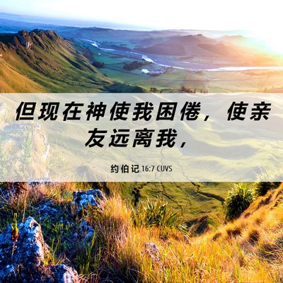 Picture 06 - 约 伯 记 16:7 CUVS - 但 现 在 神 使 我 困 倦 ， 使 亲 友 - Bible Verse Picture
