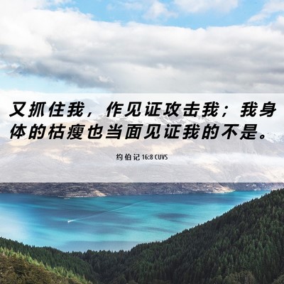 Picture 06 - 约 伯 记 16:8 CUVS - 又 抓 住 我 ， 作 见 证 攻 击 我 ； - Bible Verse Picture