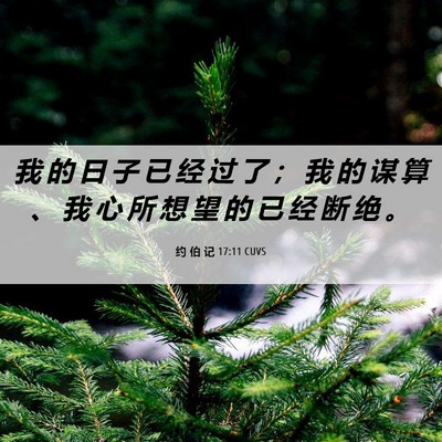 Picture 06 - 约 伯 记 17:11 CUVS - 我 的 日 子 已 经 过 了 ； 我 的 谋 - Bible Verse Picture