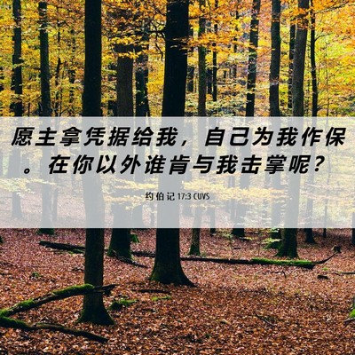Picture 06 - 约 伯 记 17:3 CUVS - 愿 主 拿 凭 据 给 我 ， 自 己 为 我 - Bible Verse Picture