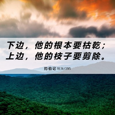 Picture 06 - 约 伯 记 18:16 CUVS - 下 边 ， 他 的 根 本 要 枯 乾 ； 上 - Bible Verse Picture