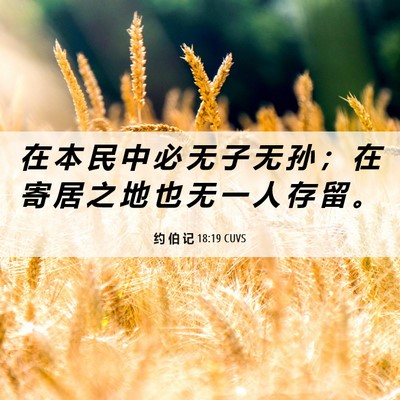 Picture 06 - 约 伯 记 18:19 CUVS - 在 本 民 中 必 无 子 无 孙 ； 在 寄 - Bible Verse Picture
