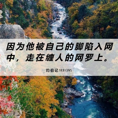 Picture 06 - 约 伯 记 18:8 CUVS - 因 为 他 被 自 己 的 脚 陷 入 网 中 - Bible Verse Picture