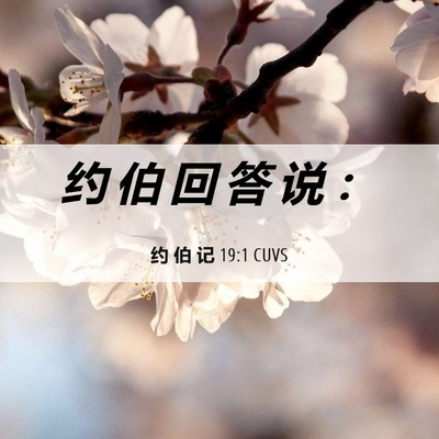 Picture 06 - 约 伯 记 19:1 CUVS - 约 伯 回 答 说 - Bible Verse Picture