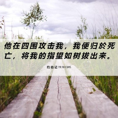 Picture 06 - 约 伯 记 19:10 CUVS - 他 在 四 围 攻 击 我 ， 我 便 归 於 - Bible Verse Picture