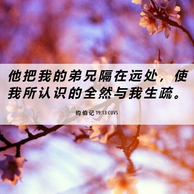 Picture 06 - 约 伯 记 19:13 CUVS - 他 把 我 的 弟 兄 隔 在 远 处 ， 使 - Bible Verse Picture