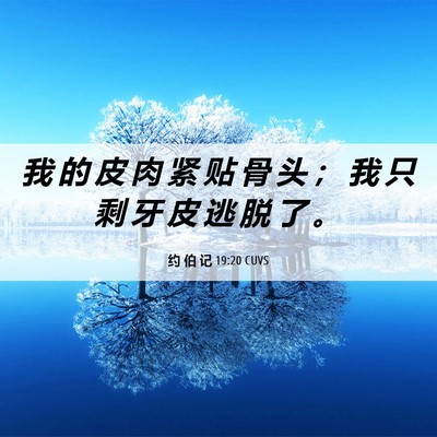 Picture 06 - 约 伯 记 19:20 CUVS - 我 的 皮 肉 紧 贴 骨 头 ； 我 只 剩 - Bible Verse Picture