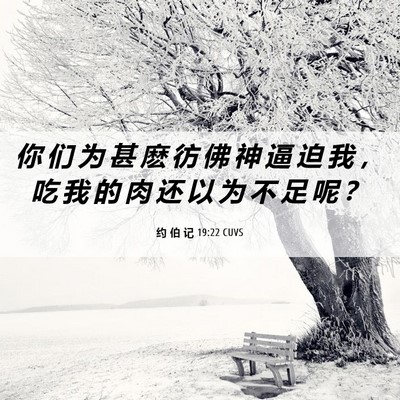 Picture 06 - 约 伯 记 19:22 CUVS - 你 们 为 甚 麽 彷 佛 神 逼 迫 我 ， - Bible Verse Picture