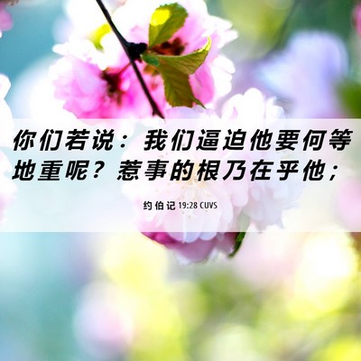Picture 06 - 约 伯 记 19:28 CUVS - 你 们 若 说 ： 我 们 逼 迫 他 要 何 - Bible Verse Picture