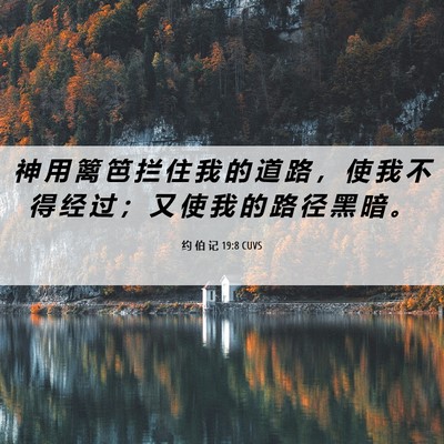 Picture 06 - 约 伯 记 19:8 CUVS - 神 用 篱 笆 拦 住 我 的 道 路 ， 使 - Bible Verse Picture