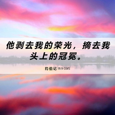Picture 06 - 约 伯 记 19:9 CUVS - 他 剥 去 我 的 荣 光 ， 摘 去 我 头 - Bible Verse Picture
