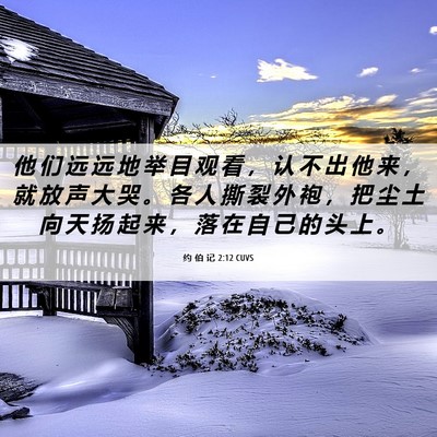 Picture 06 - 约 伯 记 2:12 CUVS - 他 们 远 远 地 举 目 观 看 ， 认 不 - Bible Verse Picture