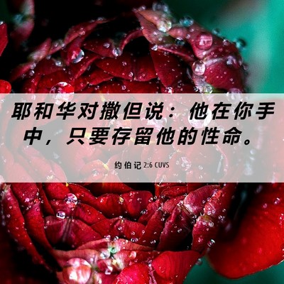 Picture 06 - 约 伯 记 2:6 CUVS - 耶 和 华 对 撒 但 说 ： 他 在 你 手 - Bible Verse Picture