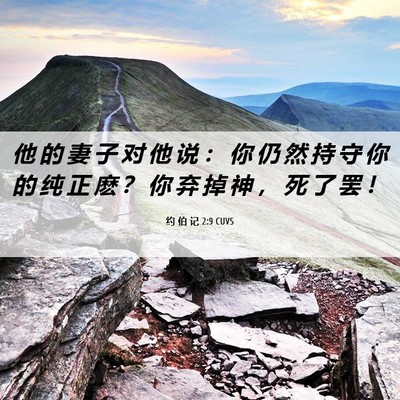 Picture 06 - 约 伯 记 2:9 CUVS - 他 的 妻 子 对 他 说 ： 你 仍 然 持 - Bible Verse Picture