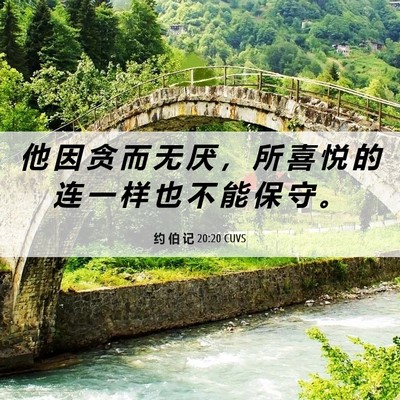Picture 06 - 约 伯 记 20:20 CUVS - 他 因 贪 而 无 厌 ， 所 喜 悦 的 连 - Bible Verse Picture