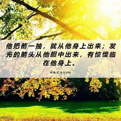 Picture 06 - 约 伯 记 20:25 CUVS - 他 把 箭 一 抽 ， 就 从 他 身 上 出 - Bible Verse Picture