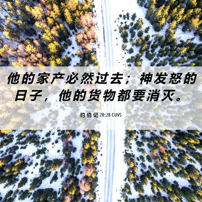 Picture 06 - 约 伯 记 20:28 CUVS - 他 的 家 产 必 然 过 去 ； 神 发 怒 - Bible Verse Picture