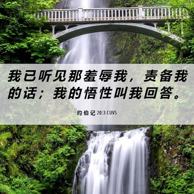 Picture 06 - 约 伯 记 20:3 CUVS - 我 已 听 见 那 羞 辱 我 ， 责 备 我 - Bible Verse Picture
