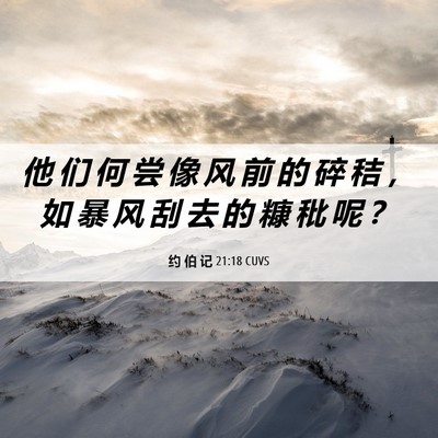 Picture 06 - 约 伯 记 21:18 CUVS - 他 们 何 尝 像 风 前 的 碎 秸 ， 如 - Bible Verse Picture