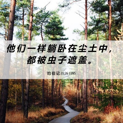 Picture 06 - 约 伯 记 21:26 CUVS - 他 们 一 样 躺 卧 在 尘 土 中 ， 都 - Bible Verse Picture