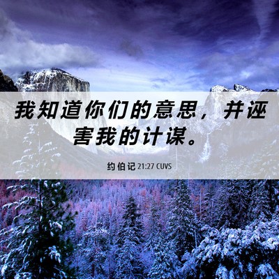 Picture 06 - 约 伯 记 21:27 CUVS - 我 知 道 你 们 的 意 思 ， 并 诬 害 - Bible Verse Picture