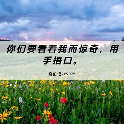 Picture 06 - 约 伯 记 21:5 CUVS - 你 们 要 看 着 我 而 惊 奇 ， 用 手 - Bible Verse Picture