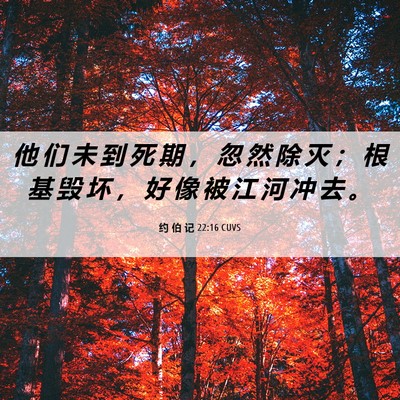 Picture 06 - 约 伯 记 22:16 CUVS - 他 们 未 到 死 期 ， 忽 然 除 灭 ； - Bible Verse Picture