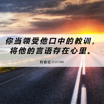 Picture 06 - 约 伯 记 22:22 CUVS - 你 当 领 受 他 口 中 的 教 训 ， 将 - Bible Verse Picture