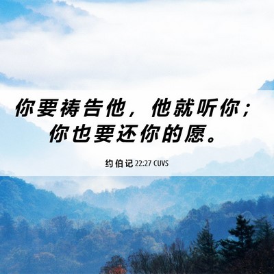 Picture 06 - 约 伯 记 22:27 CUVS - 你 要 祷 告 他 ， 他 就 听 你 ； 你 - Bible Verse Picture