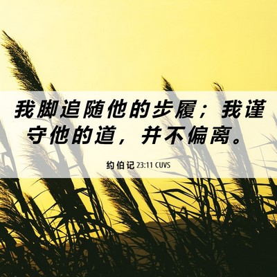 Picture 06 - 约 伯 记 23:11 CUVS - 我 脚 追 随 他 的 步 履 ； 我 谨 守 - Bible Verse Picture