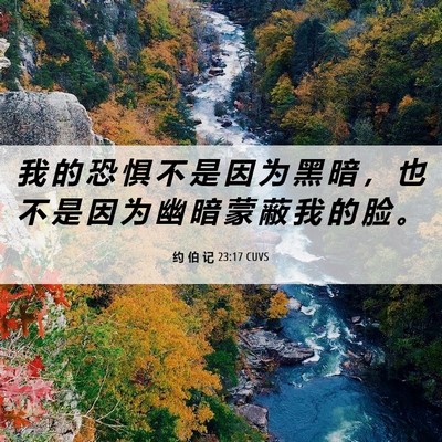 Picture 06 - 约 伯 记 23:17 CUVS - 我 的 恐 惧 不 是 因 为 黑 暗 ， 也 - Bible Verse Picture