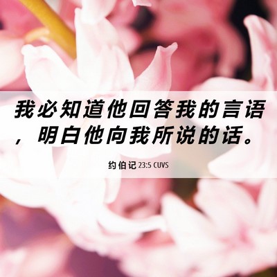 Picture 06 - 约 伯 记 23:5 CUVS - 我 必 知 道 他 回 答 我 的 言 语 ， - Bible Verse Picture