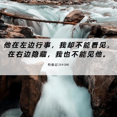 Picture 06 - 约 伯 记 23:9 CUVS - 他 在 左 边 行 事 ， 我 却 不 能 看 - Bible Verse Picture