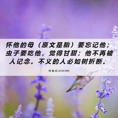 Picture 06 - 约 伯 记 24:20 CUVS - 怀 他 的 母 （ 原 文 是 胎 ） 要 忘 - Bible Verse Picture