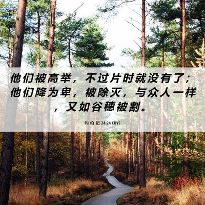 Picture 06 - 约 伯 记 24:24 CUVS - 他 们 被 高 举 ， 不 过 片 时 就 没 - Bible Verse Picture