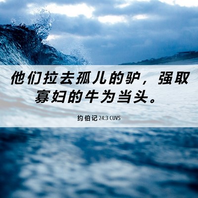 Picture 06 - 约 伯 记 24:3 CUVS - 他 们 拉 去 孤 儿 的 驴 ， 强 取 寡 - Bible Verse Picture