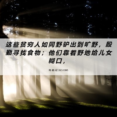 Picture 06 - 约 伯 记 24:5 CUVS - 这 些 贫 穷 人 如 同 野 驴 出 到 旷 - Bible Verse Picture