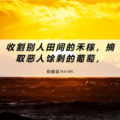 Picture 06 - 约 伯 记 24:6 CUVS - 收 割 别 人 田 间 的 禾 稼 ， 摘 取 - Bible Verse Picture