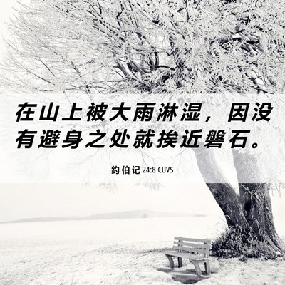 Picture 06 - 约 伯 记 24:8 CUVS - 在 山 上 被 大 雨 淋 湿 ， 因 没 有 - Bible Verse Picture
