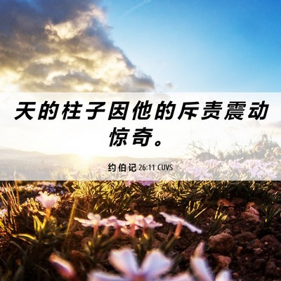 Picture 06 - 约 伯 记 26:11 CUVS - 天 的 柱 子 因 他 的 斥 责 震 动 惊 - Bible Verse Picture