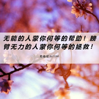 Picture 06 - 约 伯 记 26:2 CUVS - 无 能 的 人 蒙 你 何 等 的 帮 助 ！ - Bible Verse Picture